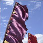 Fiesta flags at the Devonport food and wine festival